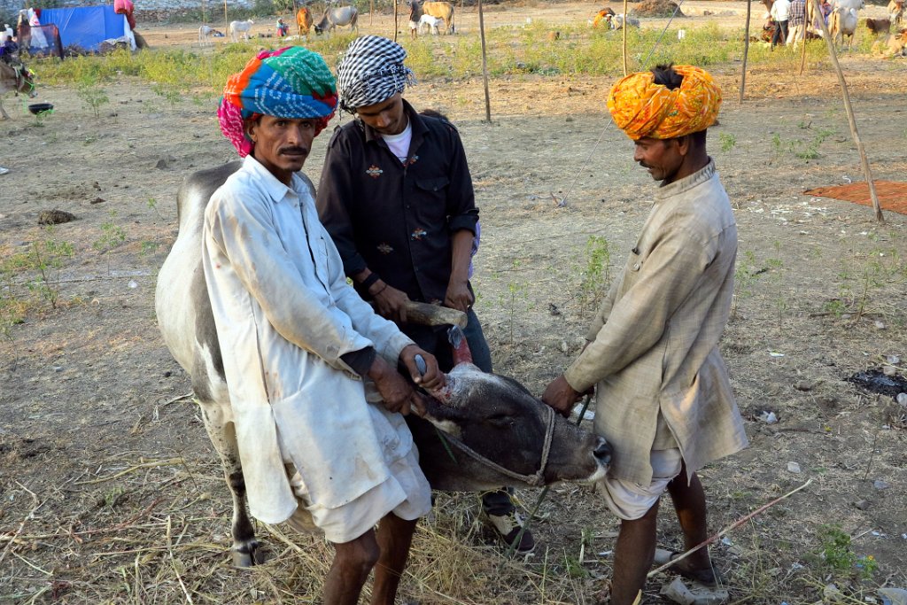 30 JHALAWAR.JPG